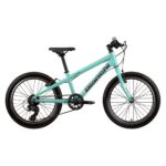 Bicicleta Bianchi XR20 280H 7C